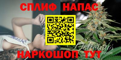 тгк Пенза