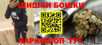 тгк Партизанск