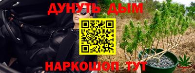 тгк Партизанск