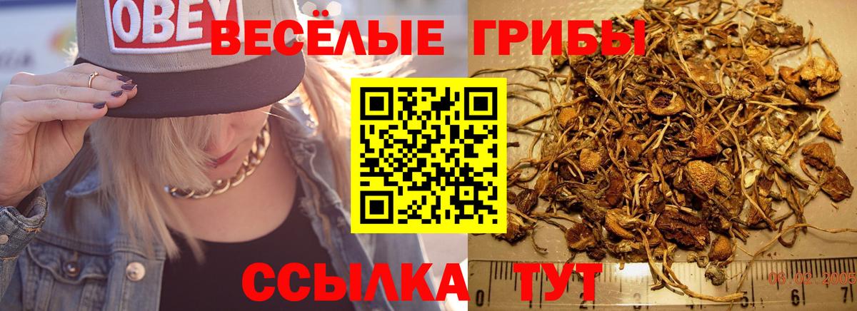 где купить наркоту  Вход с VPN  Семёнов  Галлюциногенные грибы MAGIC MUSHROOMS 