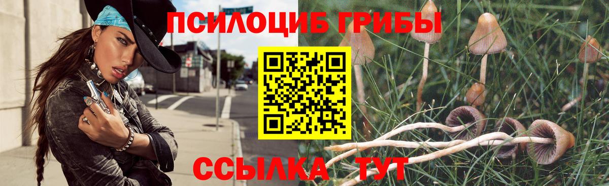 Псилоцибиновые грибы GOLDEN TEACHER Семёнов